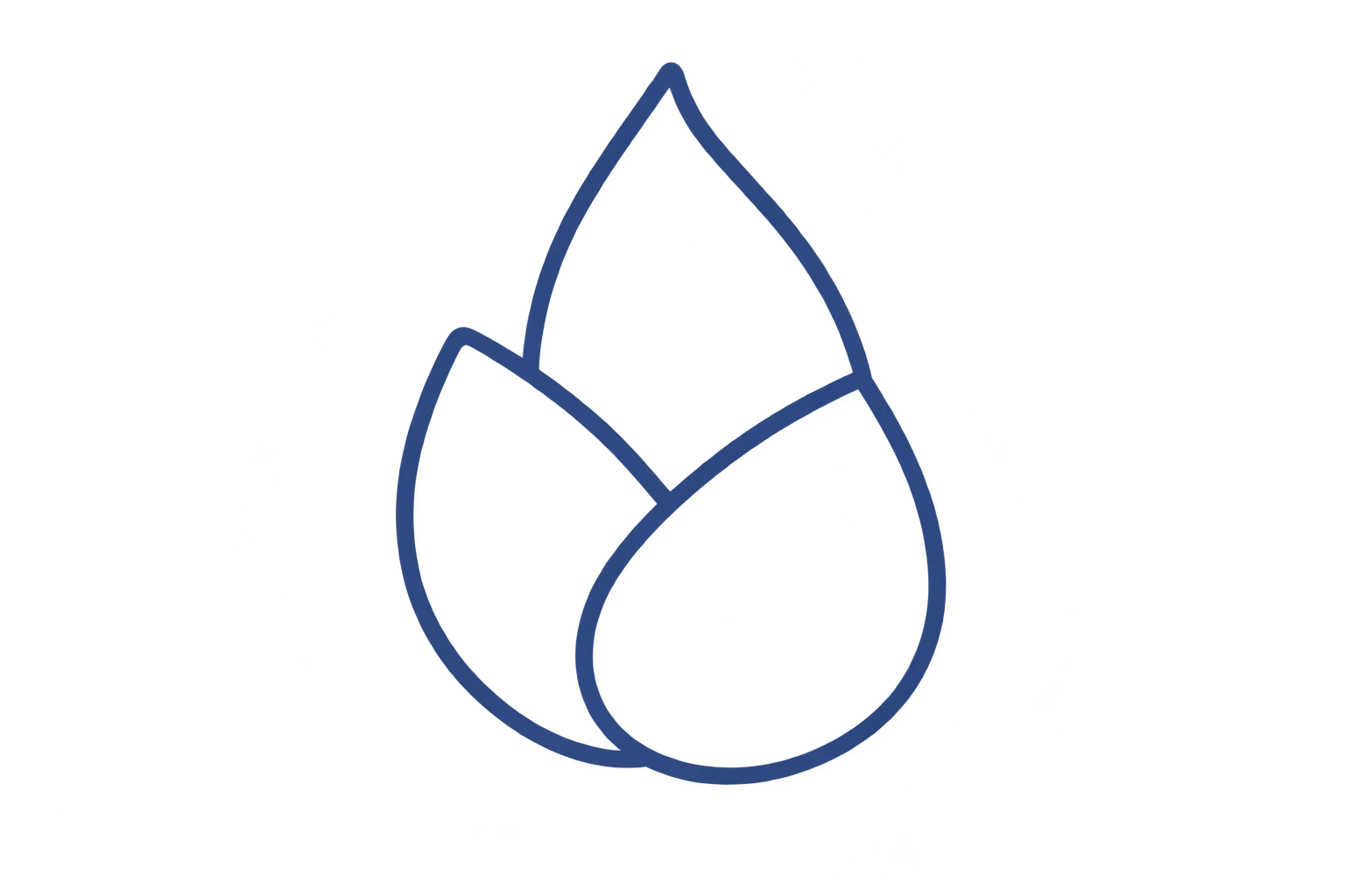 Best Python Developer in Kerala - Firebase
